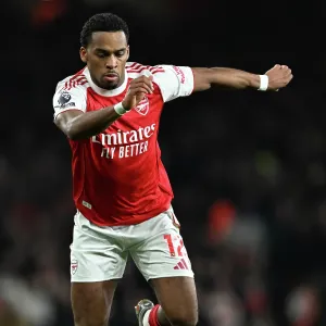 Arsenal v Wolverhampton Wanderers - Premier League