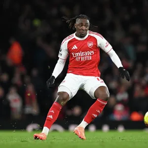 Arsenal v Wolverhampton Wanderers - Premier League