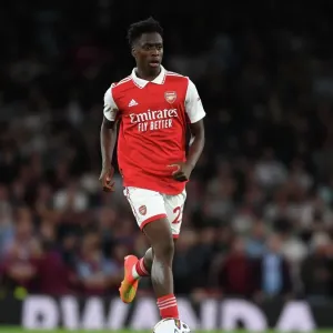 Arsenal vs Aston Villa: Sambi in Action at the Emirates Stadium (Premier League 2022-23) Arsenal vs Aston Villa: Sambi in Action at the Emirates Stadium (Premier League 2022-23)