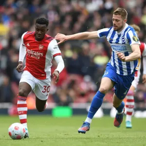 Arsenal vs. Brighton: Nketiah vs. Webster Battle in Premier League Showdown