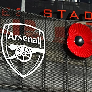Arsenal vs. Burnley: Poppy Tribute at Emirates Stadium, Premier League 2014/15