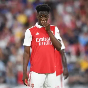 Arsenal vs. Everton: Pre-Season Clash at M&T Bank Stadium, Baltimore 2022 Arsenal vs. Everton: Pre-Season Clash at M&T Bank Stadium, Baltimore 2022