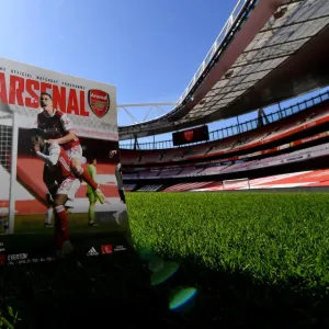 Arsenal vs. Everton: Premier League Showdown at Emirates Stadium Arsenal vs. Everton: Premier League Showdown at Emirates Stadium