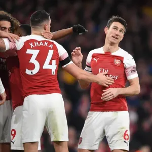 Arsenal vs. Fulham: Premier League Showdown at Emirates Stadium (January 2019)