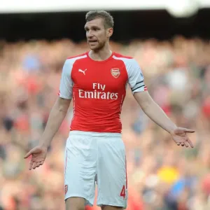 Arsenal vs Hull City: Per Mertesacker in Action at the Emirates Stadium, 2014-15 Premier League Arsenal vs Hull City: Per Mertesacker in Action at the Emirates Stadium, 2014-15 Premier League