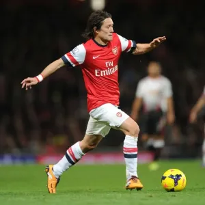 Arsenal vs Liverpool: Rosicky in Action at the Emirates Stadium (2013-14) Arsenal vs Liverpool: Rosicky in Action at the Emirates Stadium (2013-14)