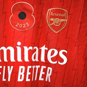 Arsenal vs Manchester City - Barclays Women's Super League: Poppies in Honor (2023-24)