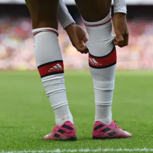 Arsenal vs. Olympique Lyonnais: Emirates Cup Showdown, 2019 Arsenal vs. Olympique Lyonnais: Emirates Cup Showdown, 2019