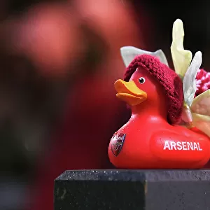 Arsenal vs Reading: A Tense FA Women's Super League Moment