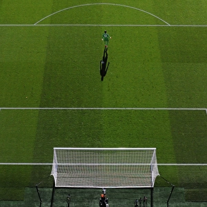 Arsenal vs. Tottenham: Petr Cech in Action at the Emirates Stadium (2016-17)
