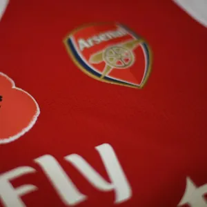 Match de la Première Ligue : Hommage à Poppy au Stade d'Emirates à Londres en 2019 entre Arsenal et les Wolves de Wolverhampton