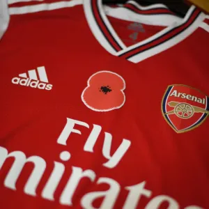 Match de la Premier League : Hommage à Poppy au Stade d'Emirates à Londres en 2019 entre Arsenal et les Wolves