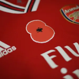 Match de la Première Ligue : Hommage à Poppy au Stade d'Arsenal face aux Wolves à Londres en 2019