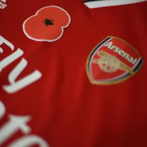 Match de championnat de la Première ligue : Arsenal contre les Wolves en hommage à Poppy au Stade d'Arsenal à Londres le 12 octobre 2018