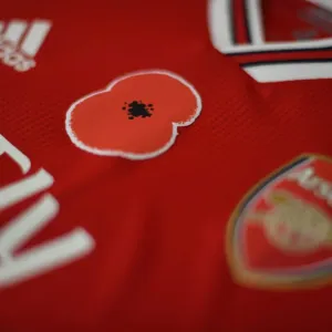 Match de la Première Ligue : Arsenal contre les Wolves, hommage à Poppy en 2019
