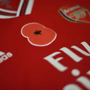 Match de la Première Ligue : Hommage à Poppy au Stade d'Emirates à Londres en 2019 entre Arsenal et les Wolves