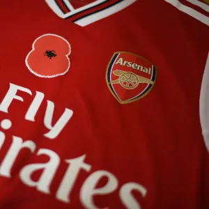 Match de championnat du Premier League : hommage à la poppe Arsenal contre les Wolves au Stade d'Emirates à Londres en 2019