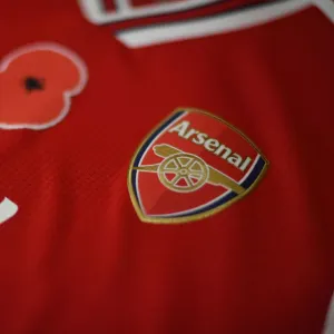 Match de la Première Liga entre Arsenal et les Wolves : Hommage à Poppy au Stade d'Emirates à Londres en 2019