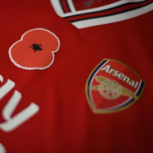 Match de la Première Ligue : Hommage à Poppy au Stade d'Emirates à Londres en 2019 entre Arsenal et les Wolves de Wolverhampton