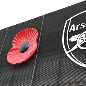 Arsenal vs. Wolverhampton Wanderers: Premier League Clash at Emirates Stadium (November 2019) Arsenal vs. Wolverhampton Wanderers: Premier League Clash at Emirates Stadium (November 2019)
