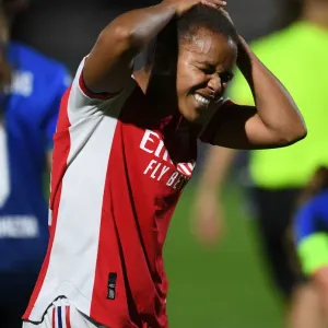Arsenal Women vs. 1899 Hoffenheim: A UEFA Women's Champions League Showdown at Meadow Park Arsenal Women vs. 1899 Hoffenheim: A UEFA Women's Champions League Showdown at Meadow Park