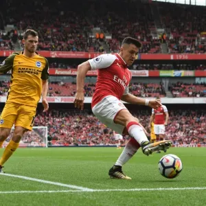 Arsenal's Alexis Sanchez Faces Off Against Brighton's Christian Gross in Premier League Showdown Arsenal's Alexis Sanchez Faces Off Against Brighton's Christian Gross in Premier League Showdown