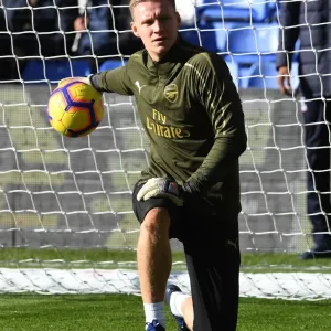 Arsenal's Bernd Leno Gears Up for Crystal Palace Clash (2018-19)