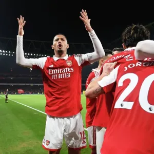 Arsenal's Bukayo Saka Scores the Winner: Arsenal FC vs Manchester City, Premier League 2022-23 Arsenal's Bukayo Saka Scores the Winner: Arsenal FC vs Manchester City, Premier League 2022-23
