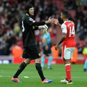 Arsenal's Cech and Walcott: Celebrating Victory Over Swansea City (2016-17)