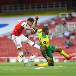 Arsenal's Cedric Soares Scores Fourth Goal vs Norwich City (2019-20)