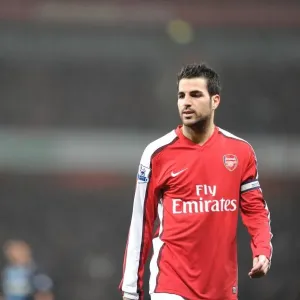 Arsenal's Cesc Fabregas Shines in 2:0 Victory over West Ham United, Premier League 2010