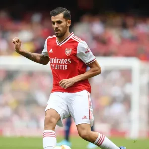 Arsenal's Dani Ceballos in Action Against Olympique Lyonnais at Emirates Cup 2019 Arsenal's Dani Ceballos in Action Against Olympique Lyonnais at Emirates Cup 2019