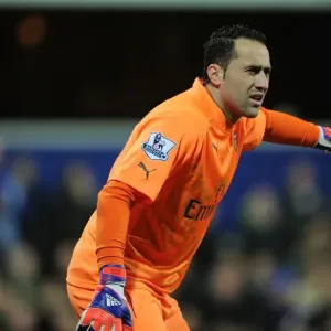 Arsenal's David Ospina in Action Against Queens Park Rangers, Premier League 2014-15