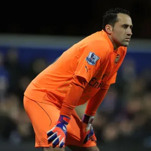 Arsenal's David Ospina in Action against Queens Park Rangers (2015)