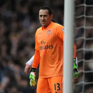 Arsenal's David Ospina in Action Against Tottenham Hotspur in the Premier League, London 2015 Arsenal's David Ospina in Action Against Tottenham Hotspur in the Premier League, London 2015