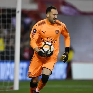 Arsenal's David Ospina in FA Cup Action: Nottingham Forest vs Arsenal (2017-18) Arsenal's David Ospina in FA Cup Action: Nottingham Forest vs Arsenal (2017-18)