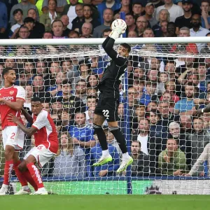 Arsenal's David Raya Goes Head-to-Head with Everton in Premier League Showdown (2023-24)