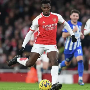 Arsenal's Eddie Nketiah in Action: Arsenal vs Brighton & Hove Albion, Premier League 2023-24