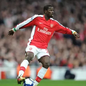 Arsenal's Emmanuel Eboue Celebrates Goal Against West Ham United in Premier League Match at Emirates Stadium (2010)