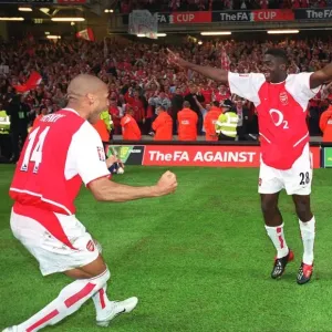 Arsenal's Euphoric FA Cup Victory: Kolo Toure's Memorable Backflip at Millennium Stadium, 2003 Arsenal's Euphoric FA Cup Victory: Kolo Toure's Memorable Backflip at Millennium Stadium, 2003