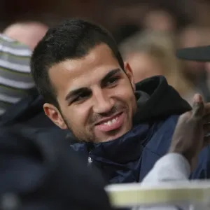Arsenal's Fabregas Leads the Way: 4-0 FA Cup Victory over Cardiff City, Emirates Stadium, 2009