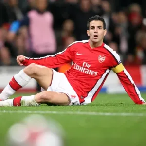 Arsenal's Fabregas Shines in 2:0 UEFA Champions League Victory over Standard Liege's Mangala