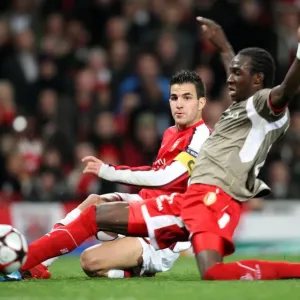Arsenal's Fabregas Shines as Gunners Top Standard Liege 2-0 in Champions League Arsenal's Fabregas Shines as Gunners Top Standard Liege 2-0 in Champions League