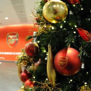 Arsenal's Festive Emirates: A Warm Welcome with Christmas Trees (Arsenal v Hull City, 2013-14)