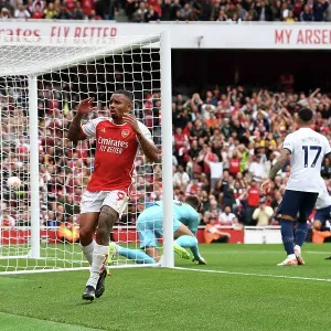 Arsenal's Gabriel Jesus Reacts to Missed Chance Against Tottenham in 2023-24 Premier League Arsenal's Gabriel Jesus Reacts to Missed Chance Against Tottenham in 2023-24 Premier League