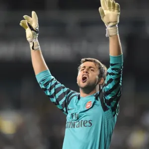 Arsenal's Glory: Fabianski's Heroics Lead Arsenal to a 4-1 Carling Cup Victory over Tottenham (AET) Arsenal's Glory: Fabianski's Heroics Lead Arsenal to a 4-1 Carling Cup Victory over Tottenham (AET)