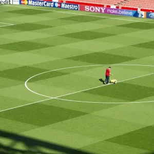 Arsenal Emirates Stadium Pitch Print Arsenal Emirates Stadium Pitch Print