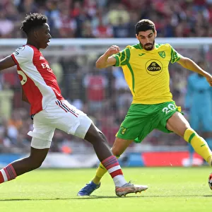 Arsenal's Lokonga Outmaneuvers Norwich's Lees-Melou in Premier League Clash