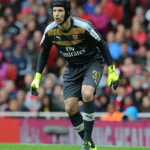 Arsenal's Petr Cech in Action Against VfL Wolfsburg at Emirates Cup 2015/16