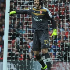 Arsenal's Petr Cech in Action Against VfL Wolfsburg at Emirates Cup 2015/16
